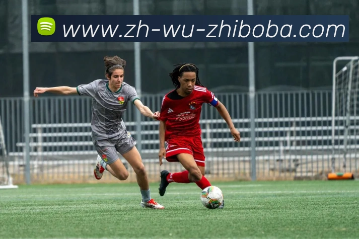 App Interface Preview